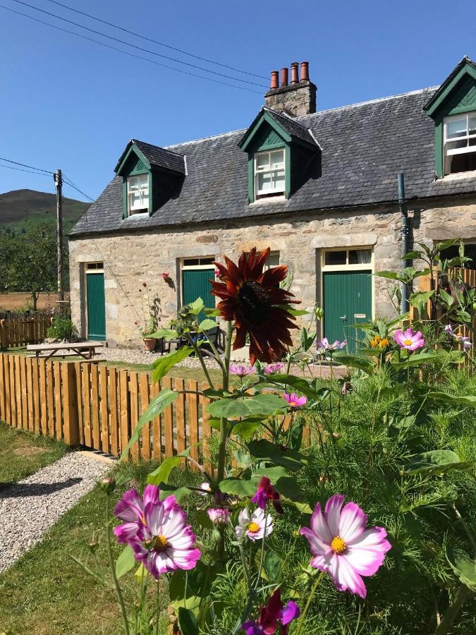 Stable Cottage, Crannachcottages Garve Exteriör bild
